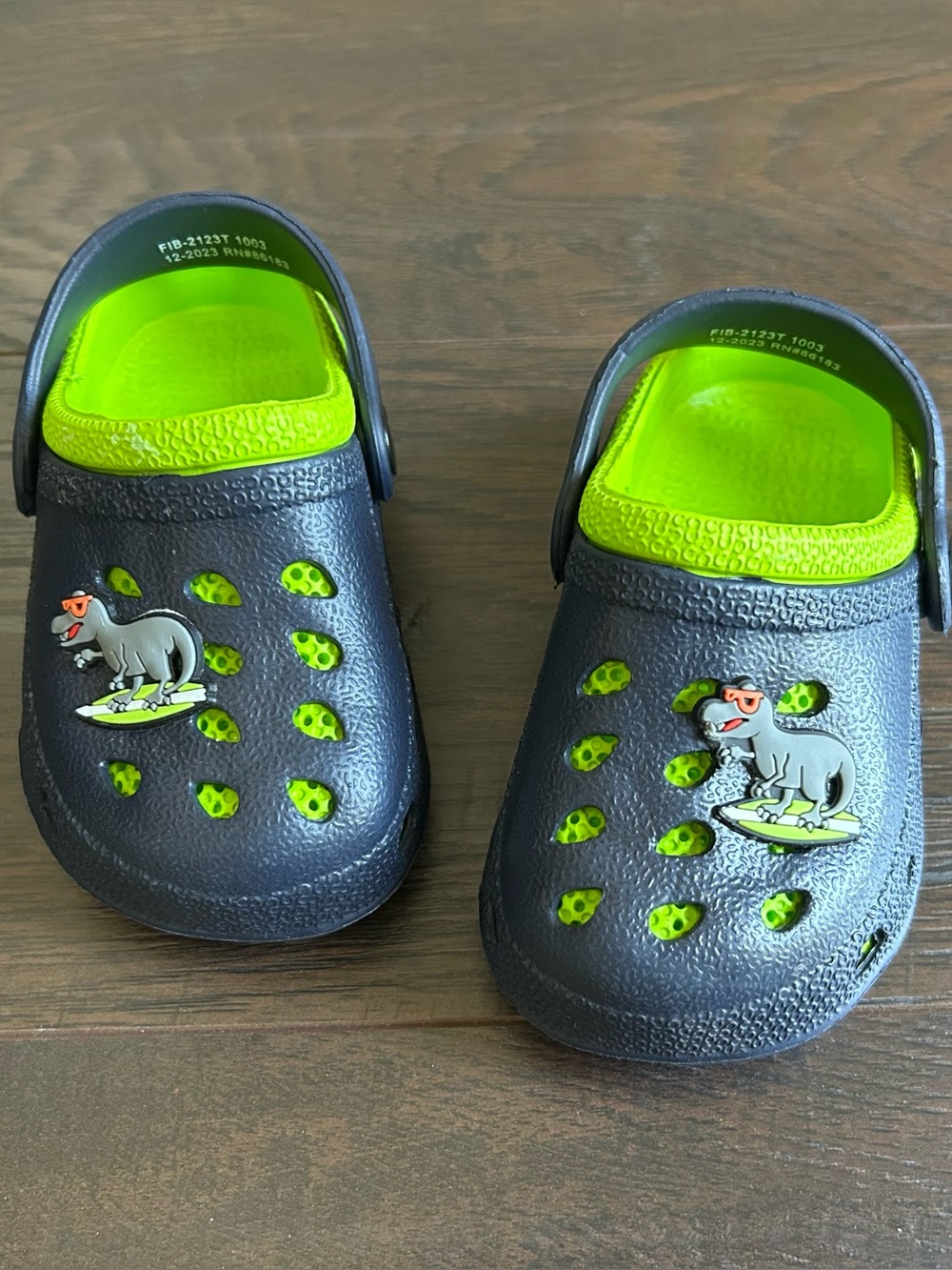 Capelli New York Dinosaur EVA Clog Toddler Size 5